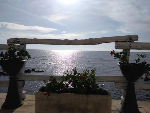 Al Chiaro Di Luna Resort Borgo Pantano Exterior foto